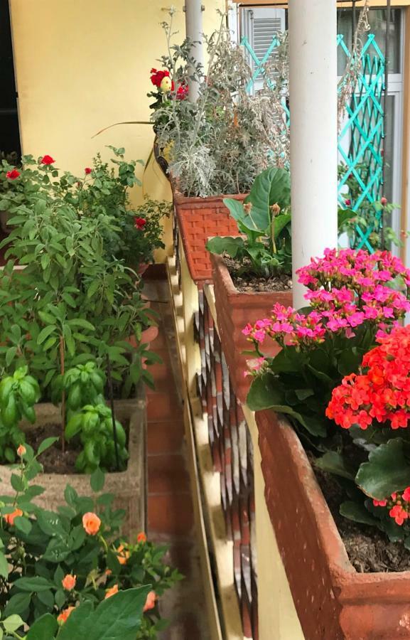 Bed and Breakfast Casa Di Nonna Vercelli Zewnętrze zdjęcie